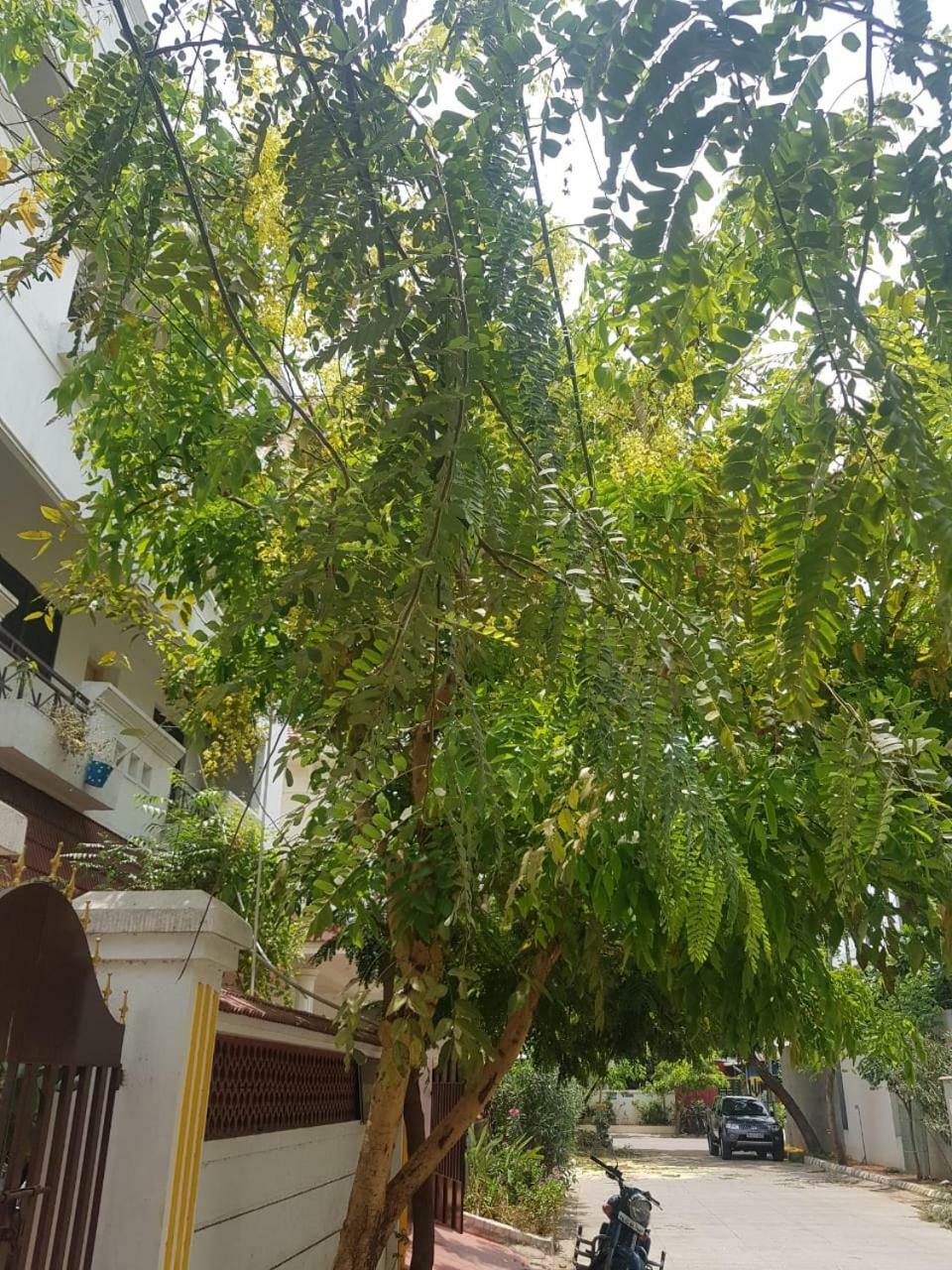 Royal Palace Guest House Chennai Exterior photo